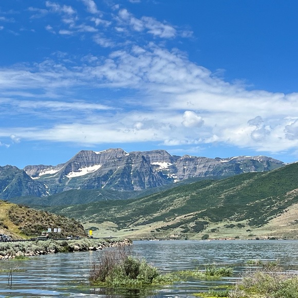 cwilds605
